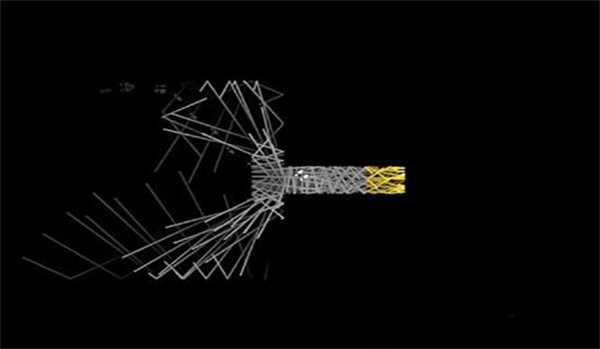 回声探路最新版本
