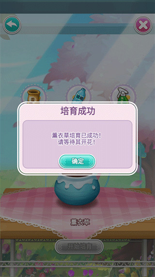 鲜花小镇最新版