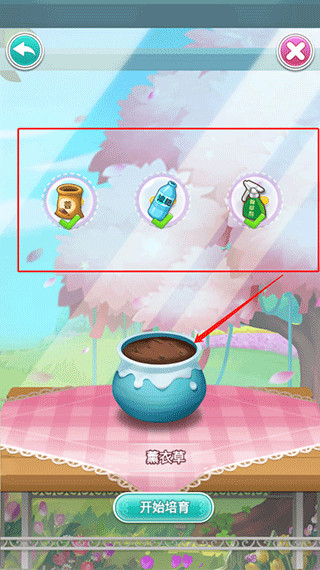 鲜花小镇最新版