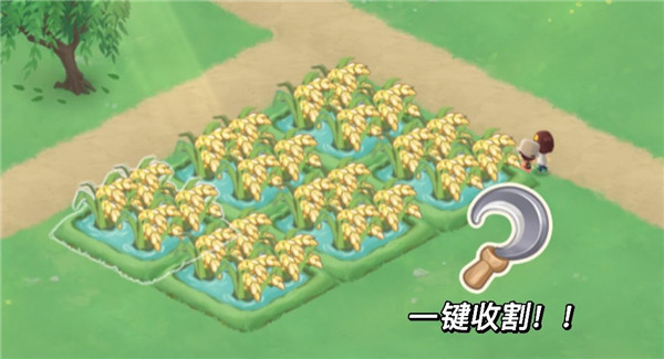 向往的生活九游版