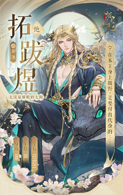 摇光录乱世公主九游版