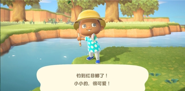 动物森友会手机版(Pocket Camp)