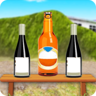 终极瓶子射击Ultimate Bottle Shooting