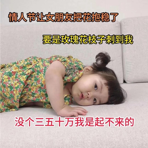 情人节把花抱稳的图片-情人节把花抱稳的表情包图片下载