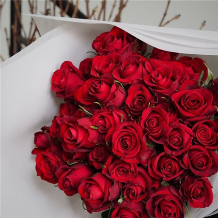 情人节把花抱稳的图片-情人节把花抱稳的表情包图片下载