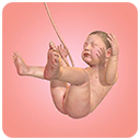 九个月游戏(9 Months)