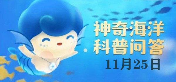 红树林广泛分布的海域会发生赤潮吗-红树林广泛分布的海域会不会发生赤潮的解释