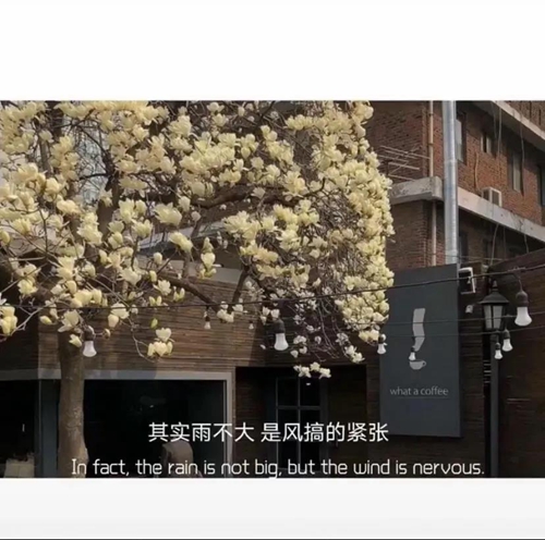 奶茶并不比烟贵图片-奶茶并不比烟贵文字图片