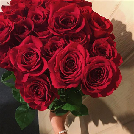 情人节把花抱稳的图片-情人节把花抱稳的表情包图片下载