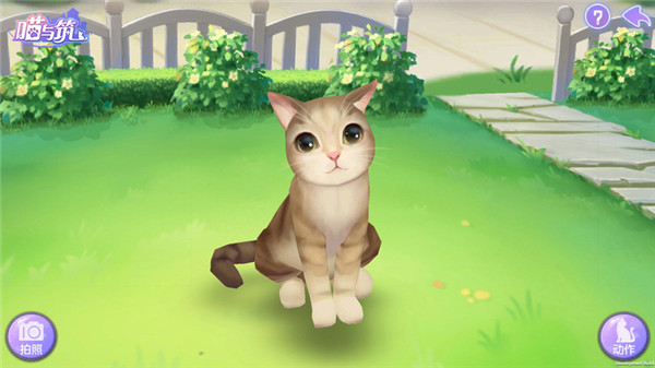 喵与筑手游官方版