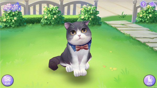 喵与筑手游官方版