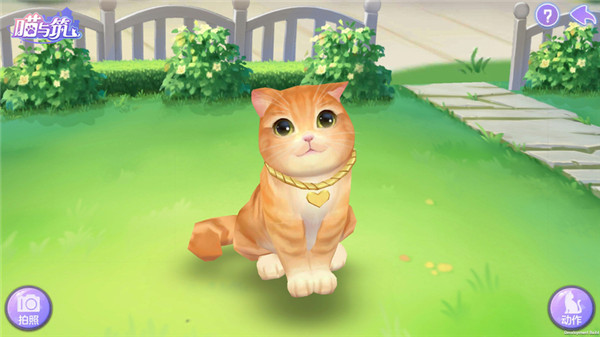 喵与筑手游官方版