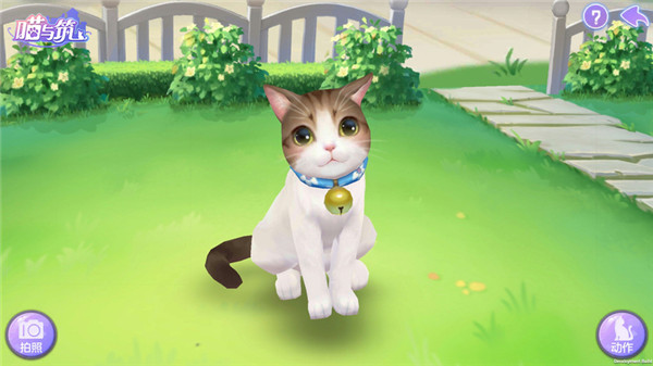 喵与筑手游官方版