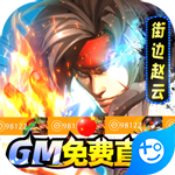 真三国快打GM版