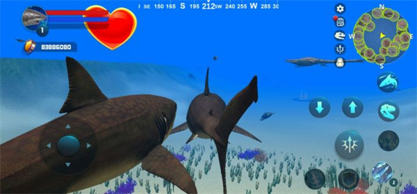 巨齿鲨模拟器(Megalodon Simulator)