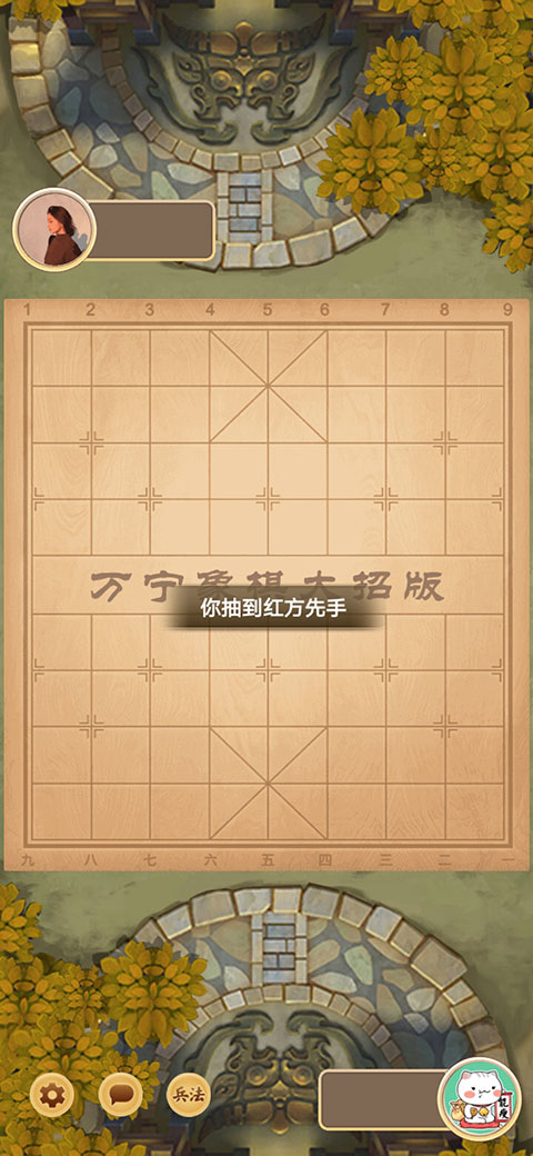 万宁象棋大招版正版