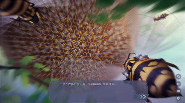 轻语谱手游官方正版