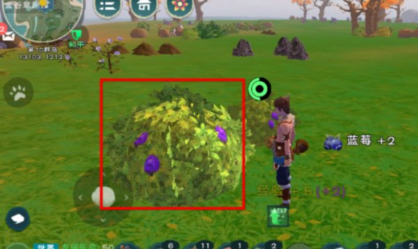 创造与魔法小米版