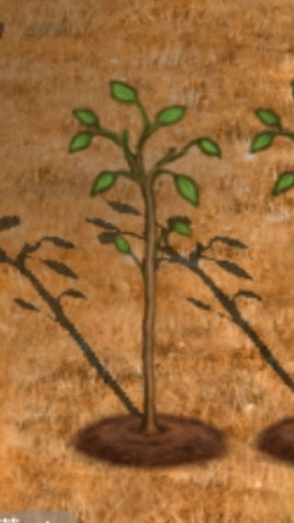 希望之村2来生官方版