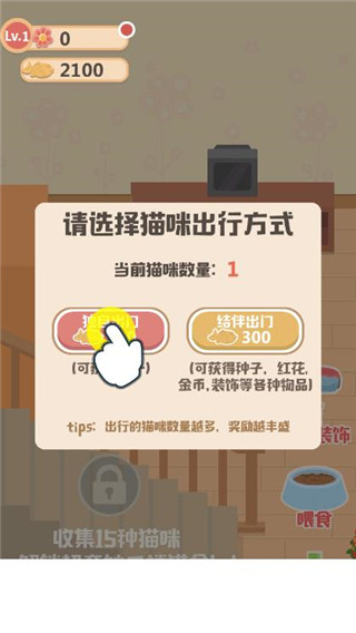 奇妙猫之家最新版