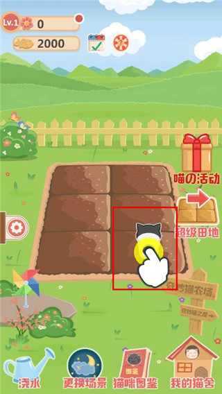 奇妙猫之家最新版