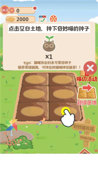 奇妙猫之家最新版