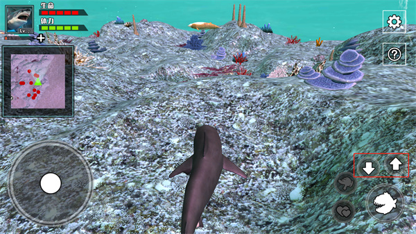 饥饿鲨鱼求生官方正版