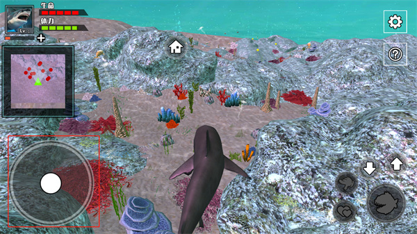 饥饿鲨鱼求生官方正版