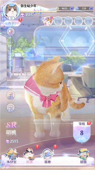 超喵星计划官方正版