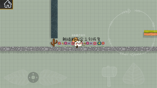 森林小会最新版