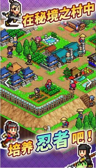 开罗合战忍者村物语