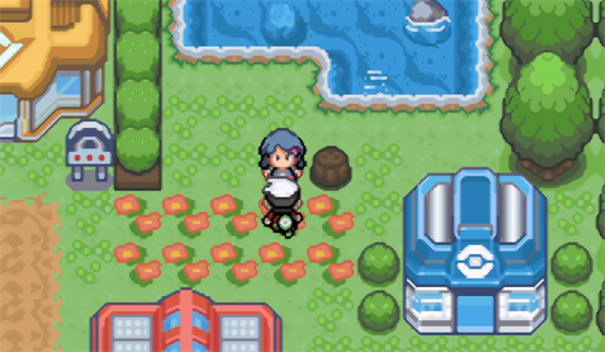 口袋妖怪究极绿宝石5.5内置修改器