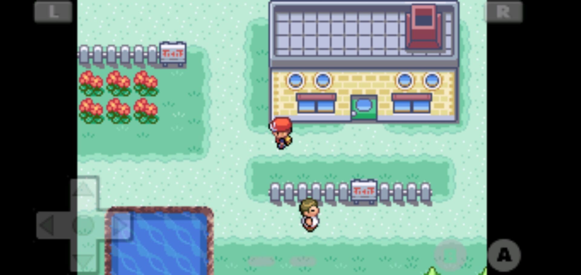 口袋妖怪火红全随机版