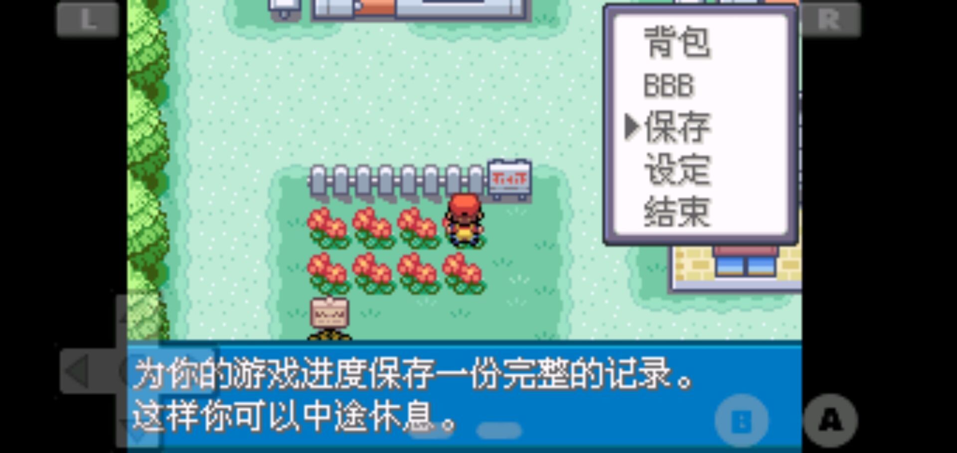 口袋妖怪火红全随机版