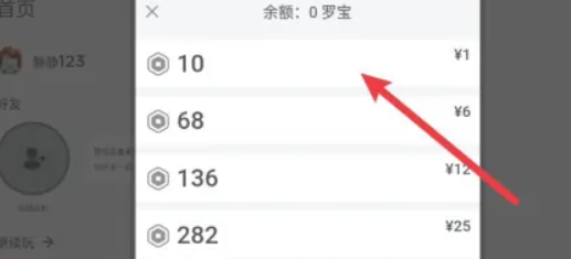 罗布乐思体验服