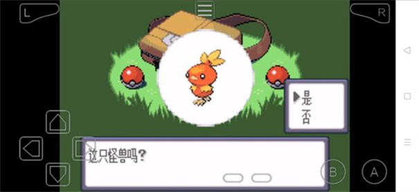 口袋妖怪究极绿宝石5.5失落之古迹