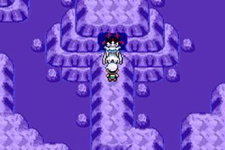 口袋妖怪究极绿宝石5.5汉化版