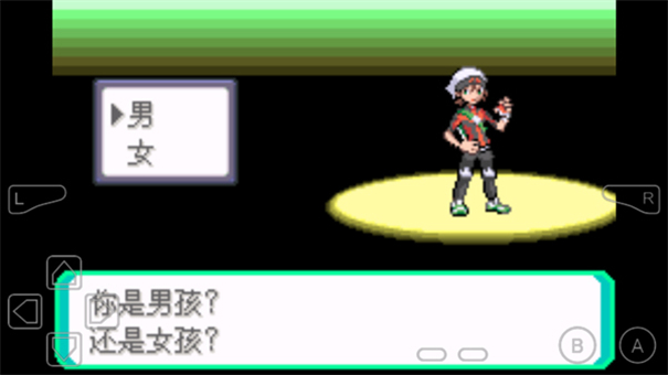 精灵宝可梦究极绿宝石