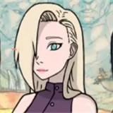 火影游戏女忍训练师最新版本