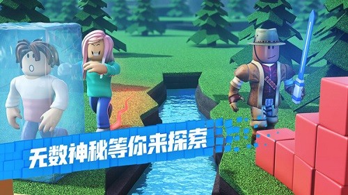 COM.ROBLOX.CLIENT