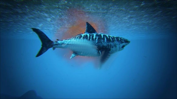 方舟生存进化手机版免费