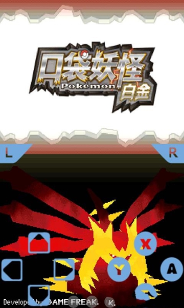 口袋妖怪白2