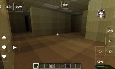 叶枫我的世界神奇宝贝