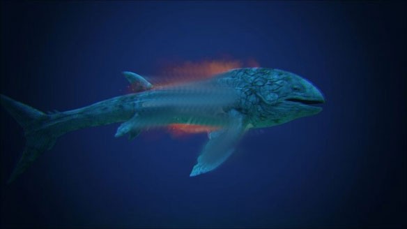 方舟生存进化手机版免费