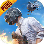 PUBG轻量版(PUBG MOBILE LITE)