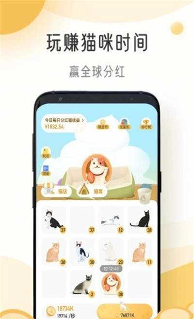 猫咪时间(Cat Time)