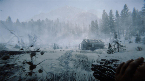 森林之子中文手机版