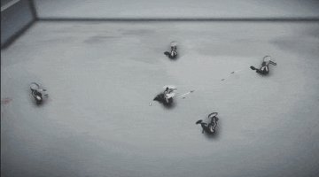 无极道人华为版