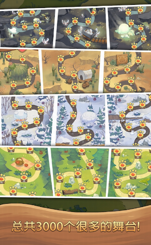 小猪找路大冒险