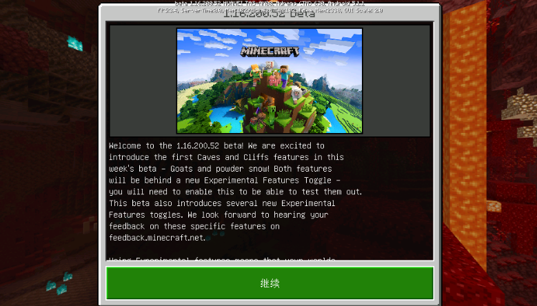 我的世界(MINECRAFT)